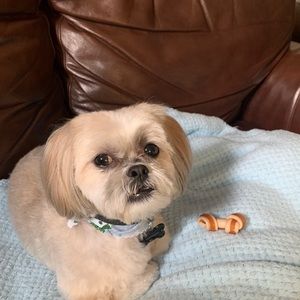 Meet your Posher, Ann